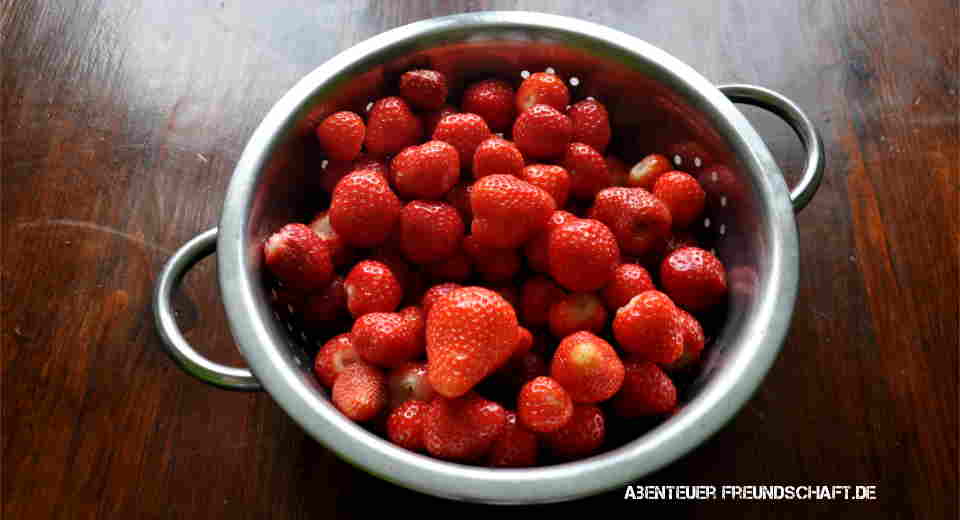 Der Saisonkalender für Obst verrät wann Erdbeeren reif sind