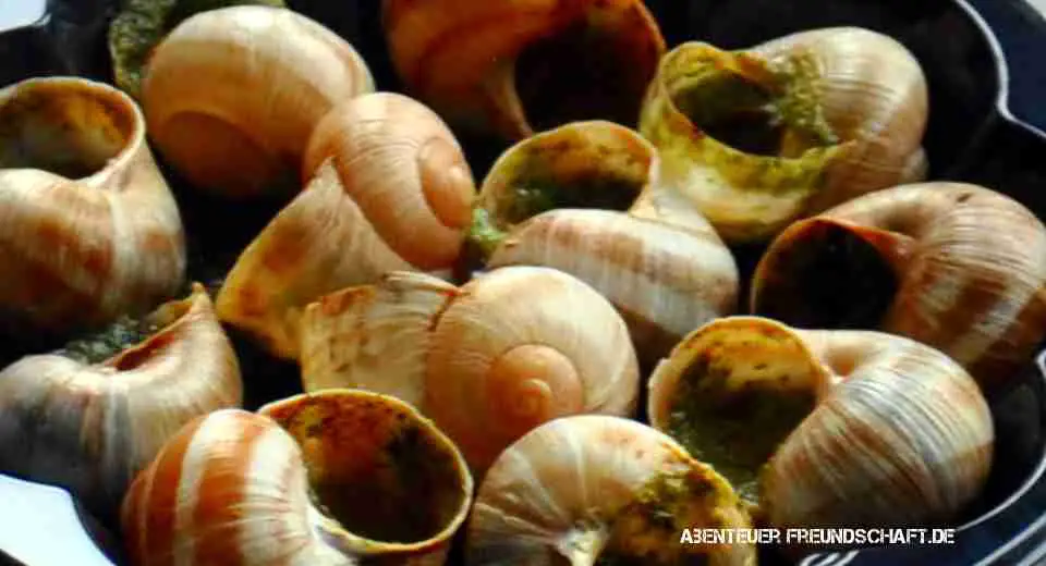 At our France cooking challenge, it's allowed to have something unusual like vineyard snails.