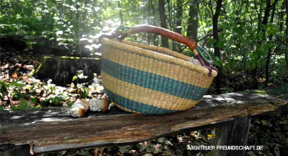 To pick mushrooms you need an air-permeable basket, a knife and basic knowledge