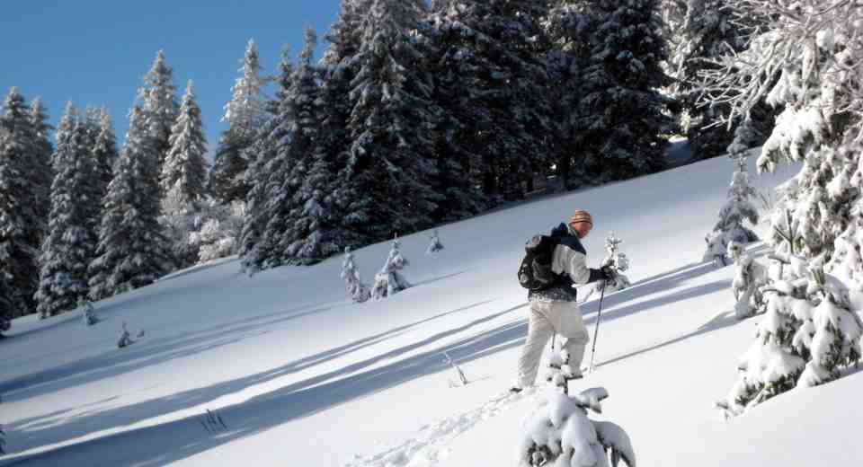 One of best Christmas experience gifts is a Snowshoe Hike