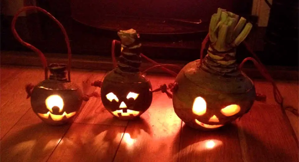 Turnip ghosts as lanterns carved by children in Germany as a traditional Halloween custom 