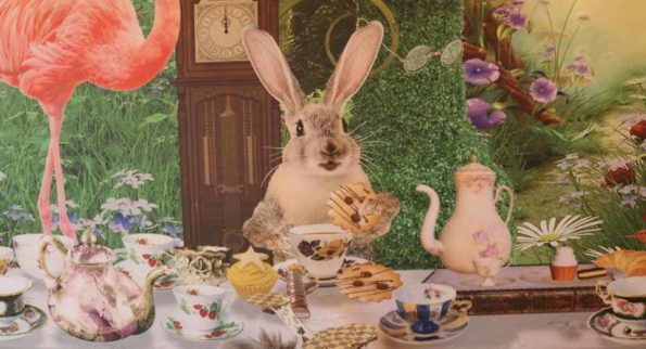 Alice in Smartland at the White Rabbits Tea Party 