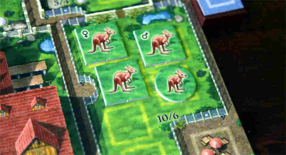 In the Zooloretto board game, you specifically collect animals for full zoo enclosures