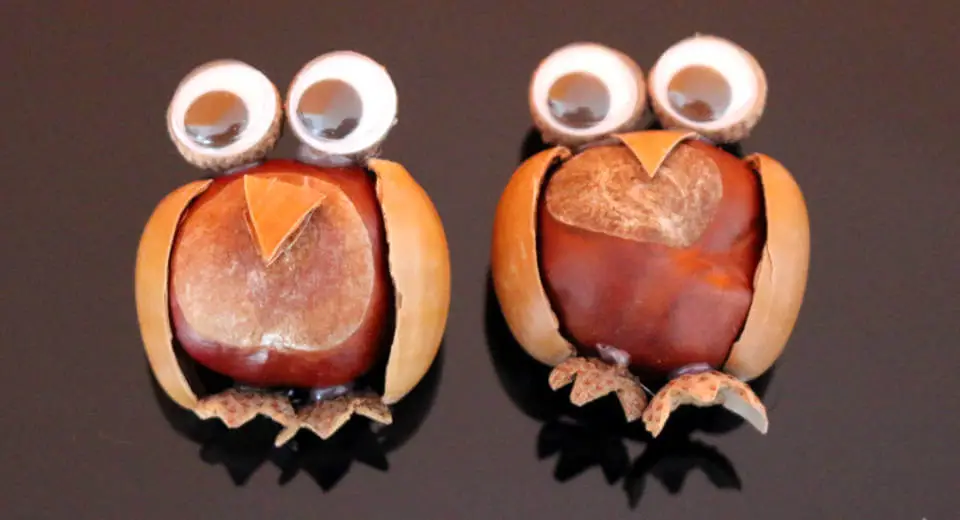 Chestnut owls are a nice idea for autumn crafts with children 