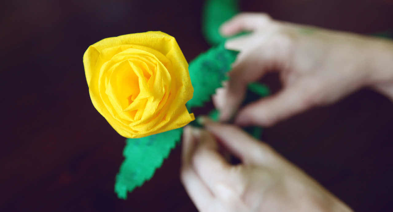 How to make Crepe Paper Roses yourself 