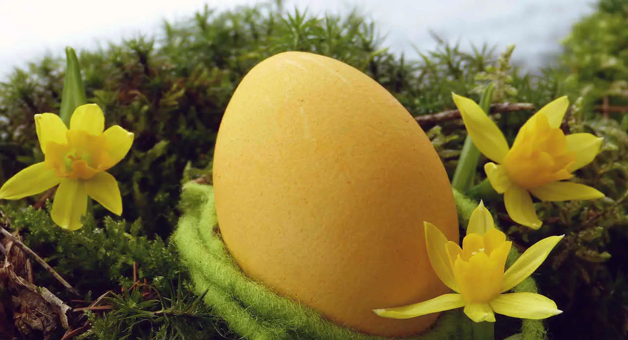 Easter egg hiding in the moss 