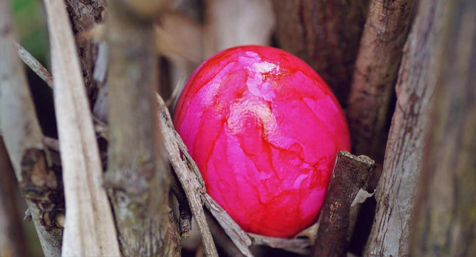 Ostereier verstecken - rotes Osterei in einem Baum