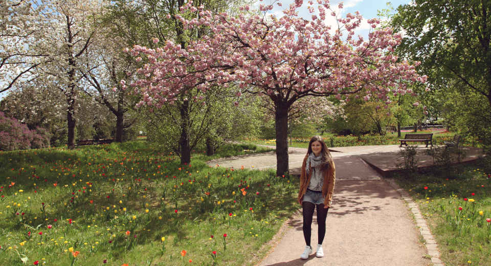 Baumblüte im Britzer Garten