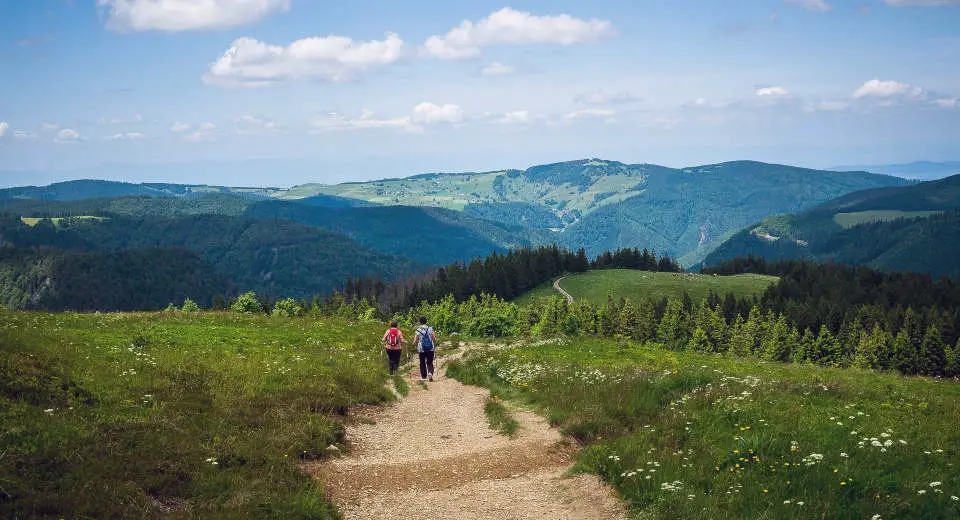 Hiking on the Feldberg in summer, in winter it is a popular destination and one of the best places in the Black Forest for skiing