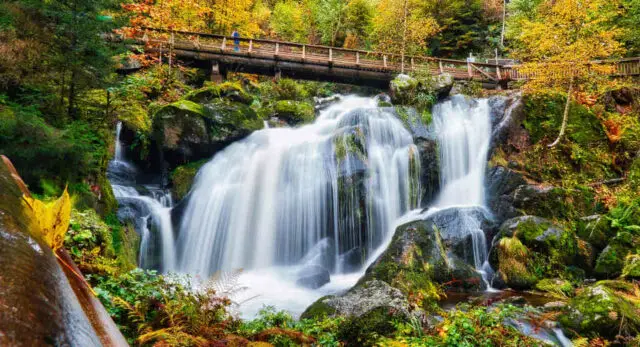 The Triberg Waterfalls are the highest waterfalls in Germany and one of the most famous places to visit in the Black Forest 
