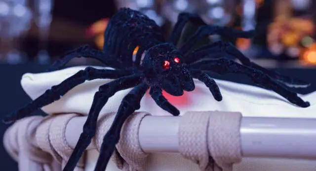 "Many Halloween pranks at home involve creepy items like spiders made of rubber, plastic or plush."