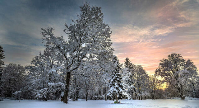 "Einen Spaziergang durch einen verschneiten Wald zu mac hen ist einer der romantischsten Weihnachtsausflüge für Paare."