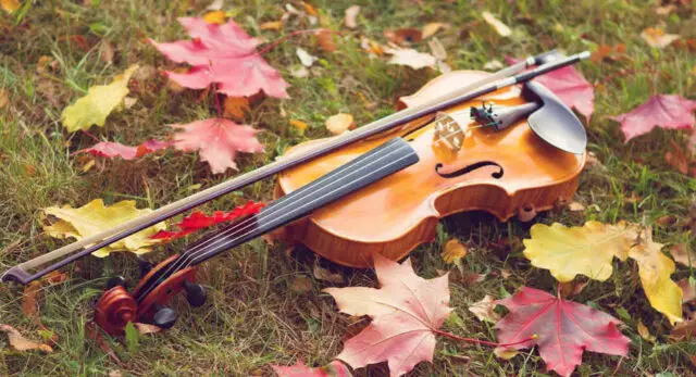 "With good and suitable music you provide for good mood on your autumn party."
